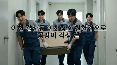 이천 갈산동 이사청소? 친환경으로 곰팡이 걱정 끝!