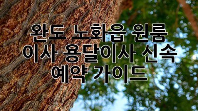 완도 노화읍 원룸 이사? 용달이사 신속 예약 가이드!